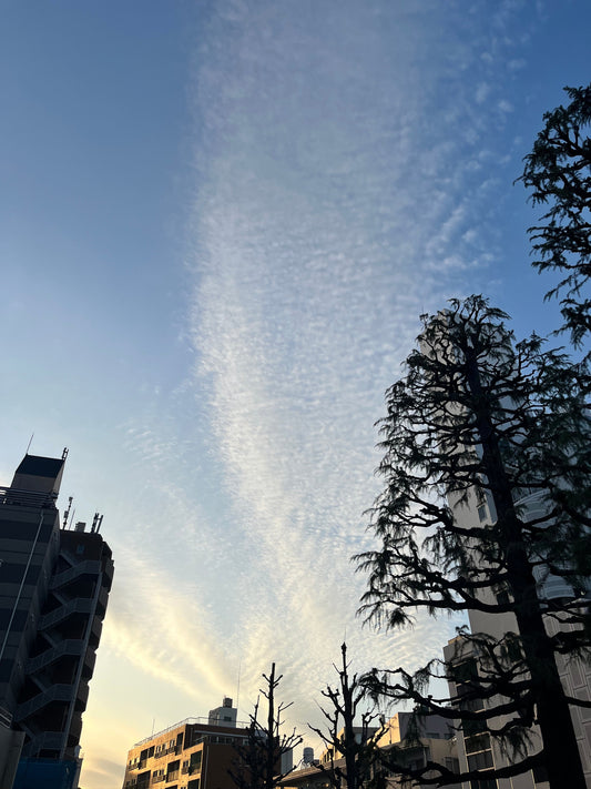 失敗から学ぶこと。