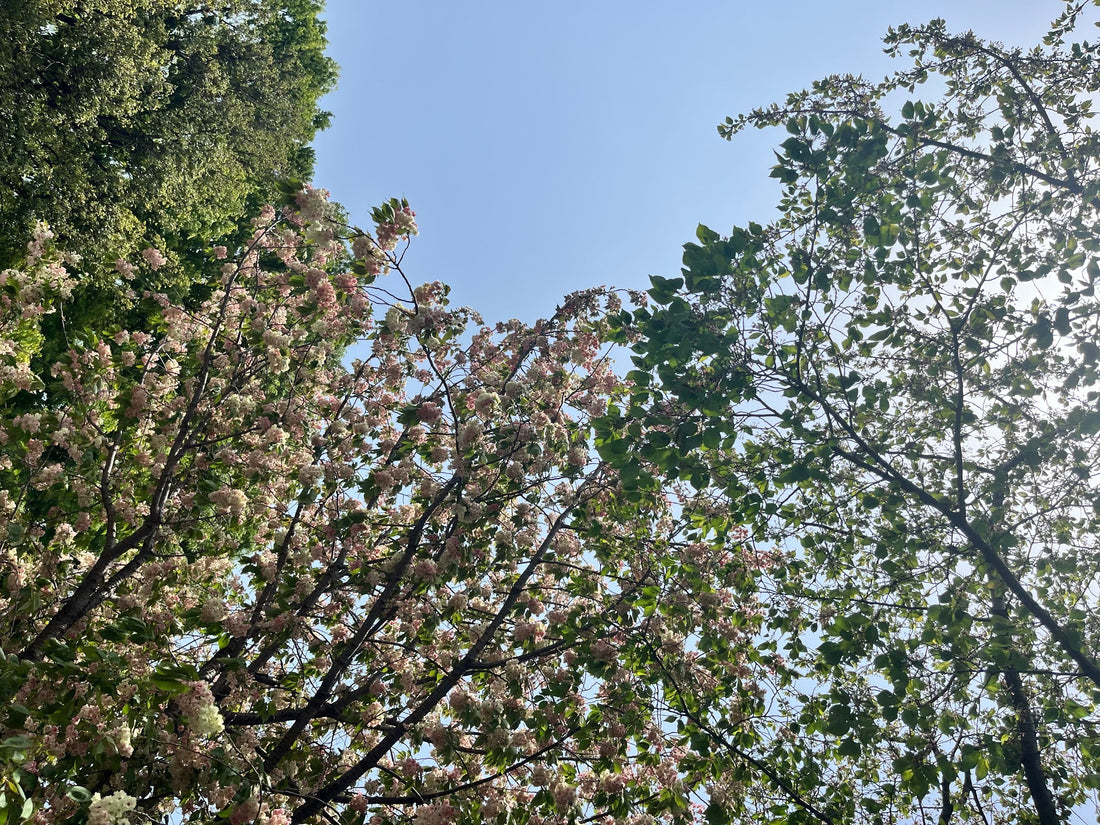 今日のわたしをつくる、朝の運動